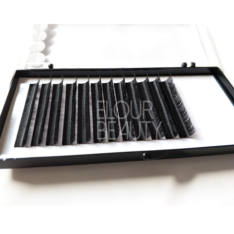 Camellia private label eyelash extension products wholesale ED07